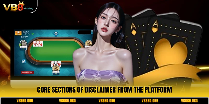Core sections of Disclaimer from the platform