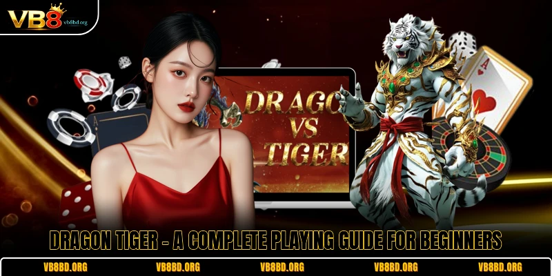 Dragon Tiger: A Complete Playing Guide For Beginners 2026