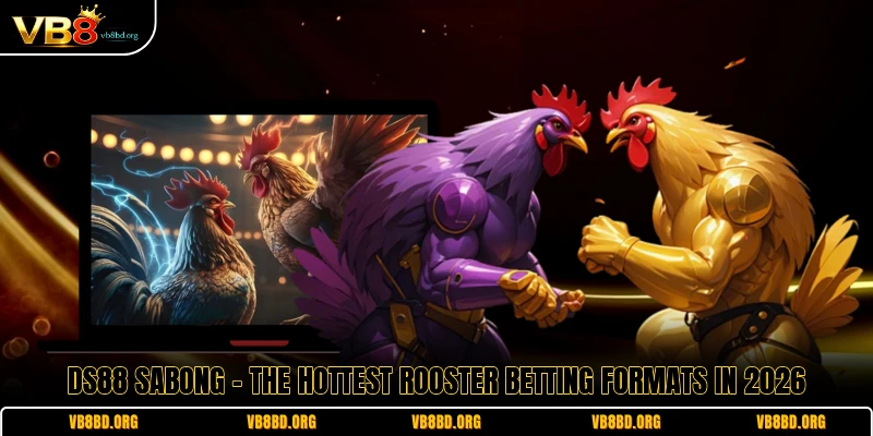 DS88 Sabong - The Hottest Rooster Betting Formats In 2026