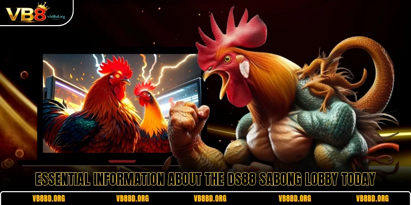 Essential information about the DS88 Sabong lobby today