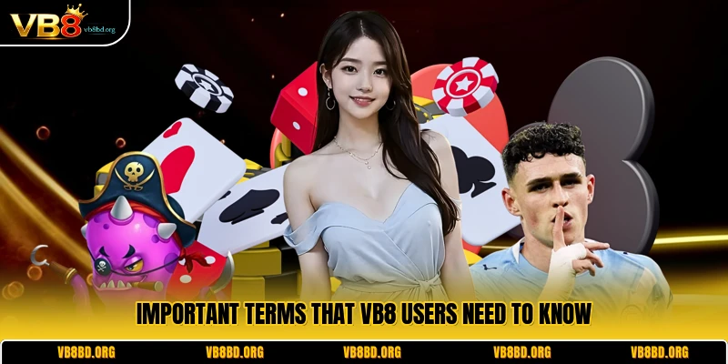 Important terms that VB8 users need to know