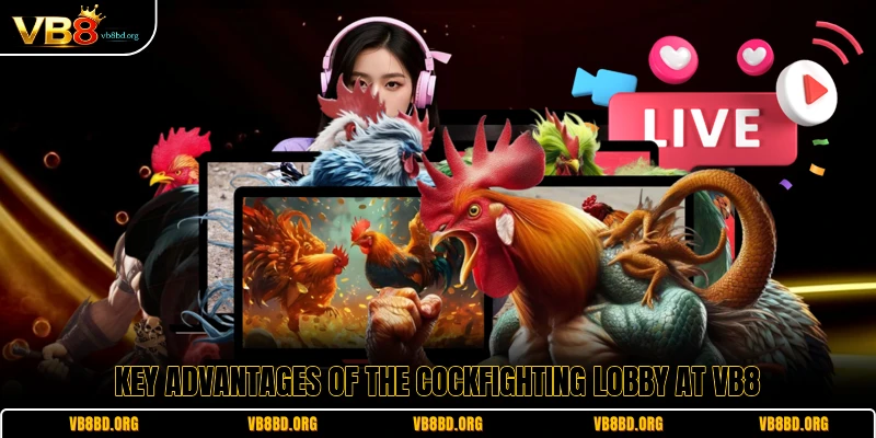 Key advantages of the cockfighting lobby at VB8