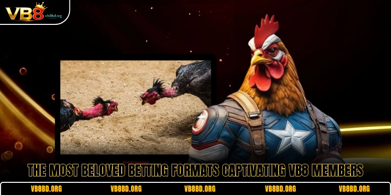 The most beloved betting formats captivating VB8 members